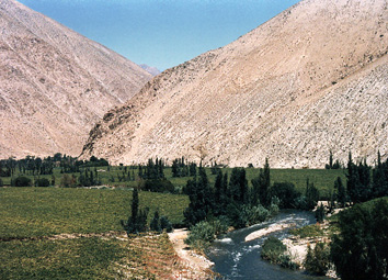 La hermosa valle de Elqui, regiòn del Pisco, conocida por sus viñas y por su cielo siempre azul.
